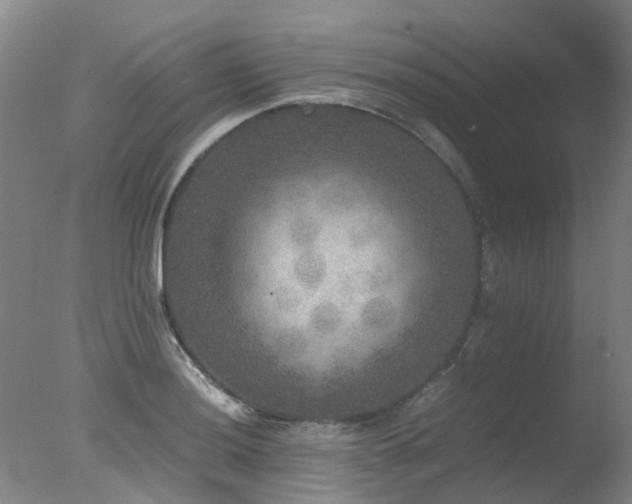 X0000078021036200610271228