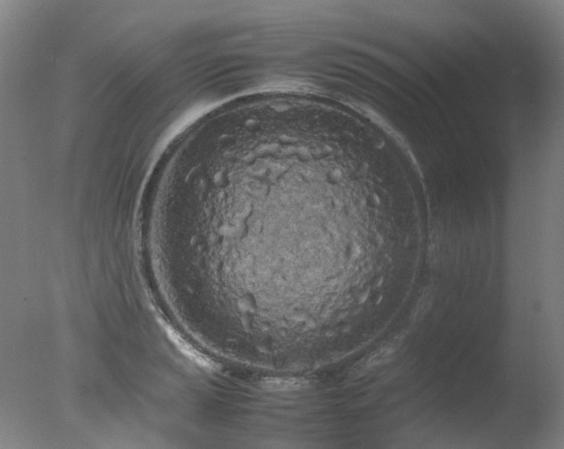 X0000078021037200610271228