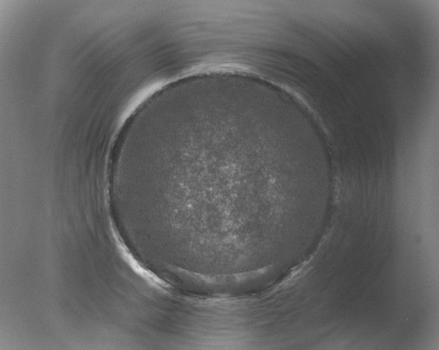 X0000078021038200610271228