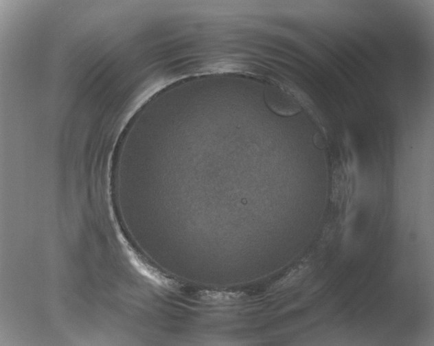 X0000078021039200610271228