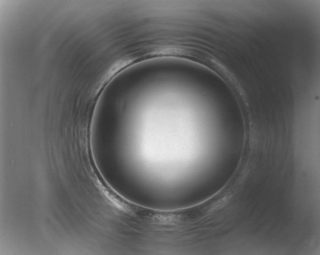 X0000078021041200610271228