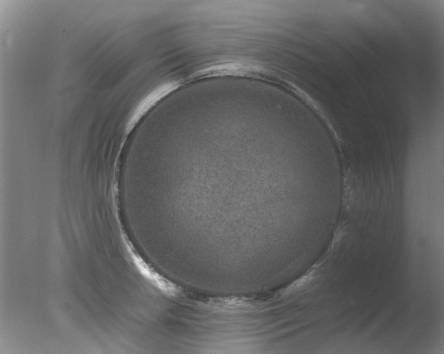 X0000078021042200610271229