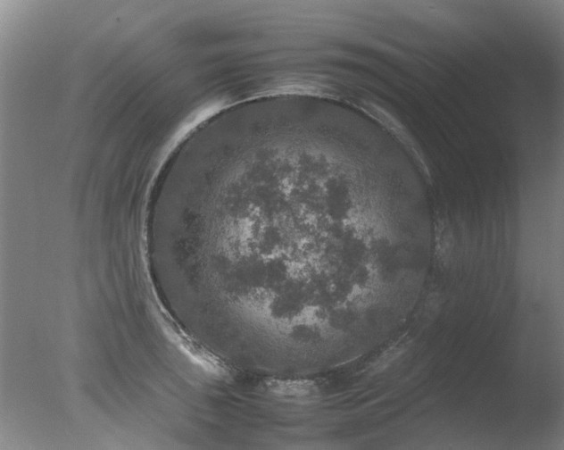 X0000078021043200610271229