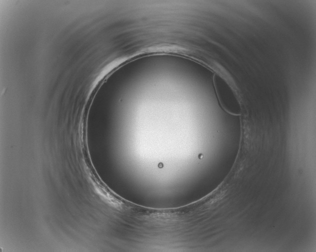 X0000078021044200610271229