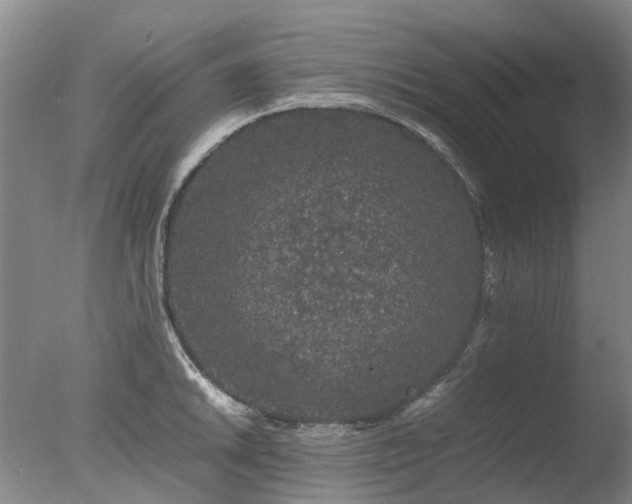 X0000078021046200610271229