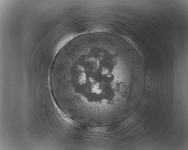 X0000078021047200610271229