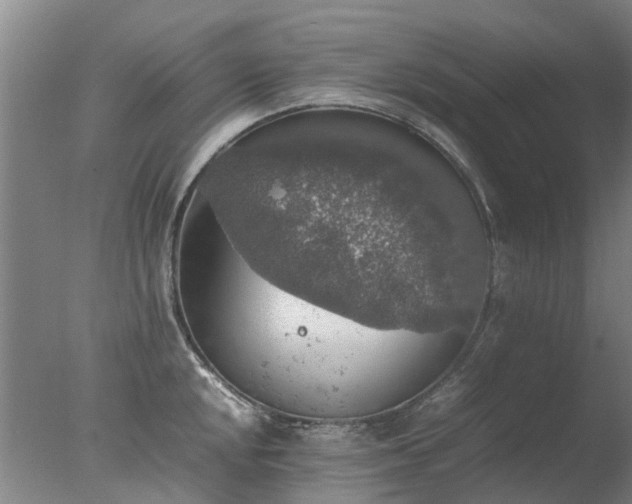 X0000078021048200610271229