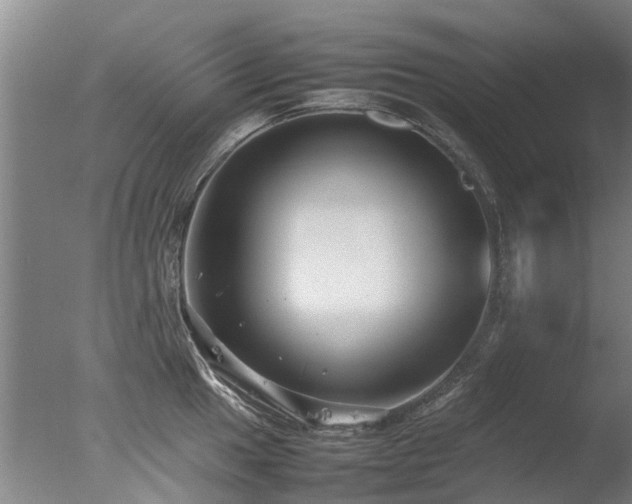 X0000078021049200610271229