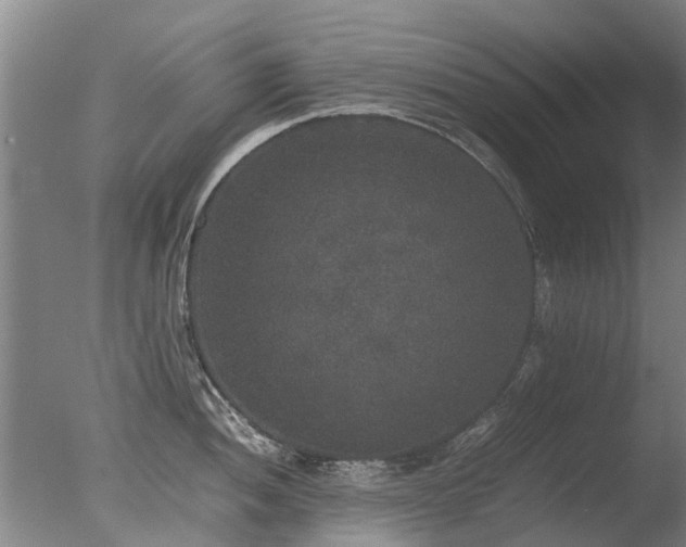 X0000078021052200610271229