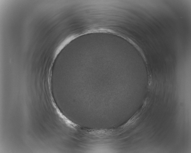 X0000078021054200610271229