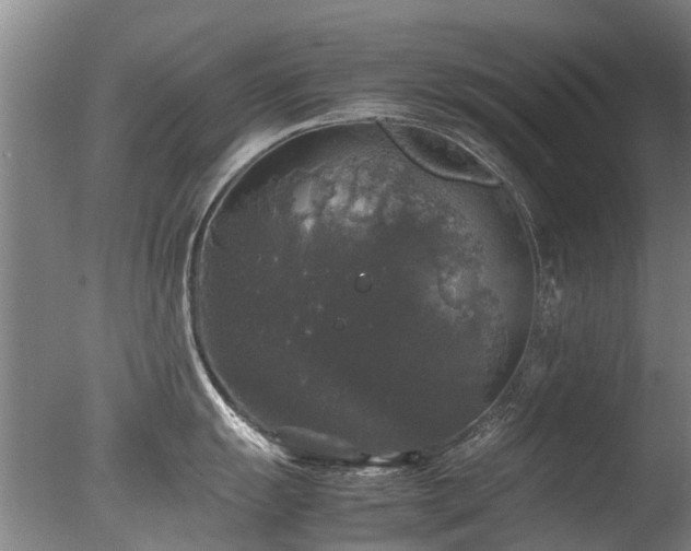 X0000078021055200610271229