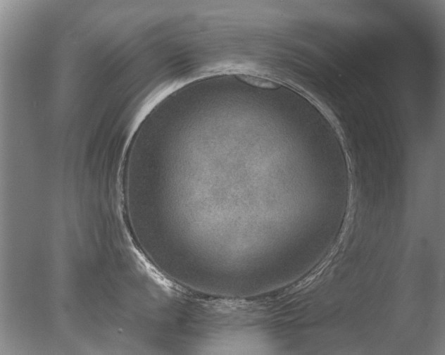 X0000078021056200610271229