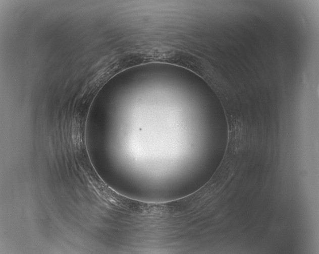 X0000078021058200610271228