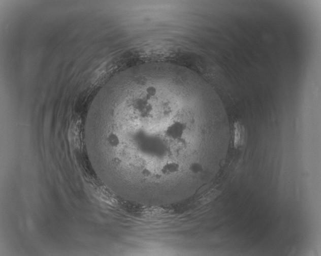 X0000078021059200610271228