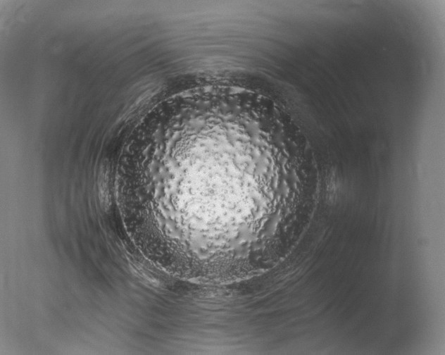 X0000078021060200610271228