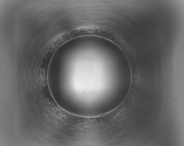 X0000078021062200610271228