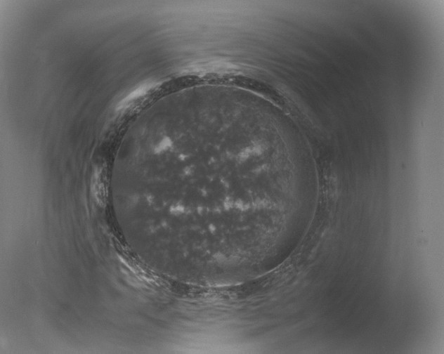 X0000078021063200610271228