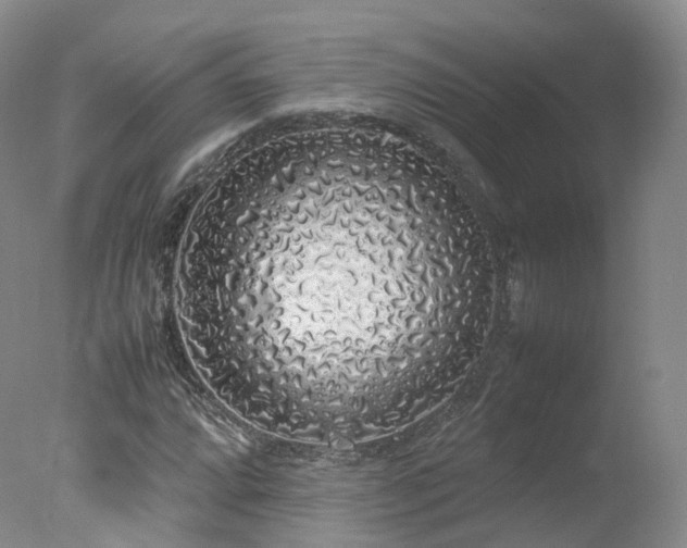 X0000078021064200610271228