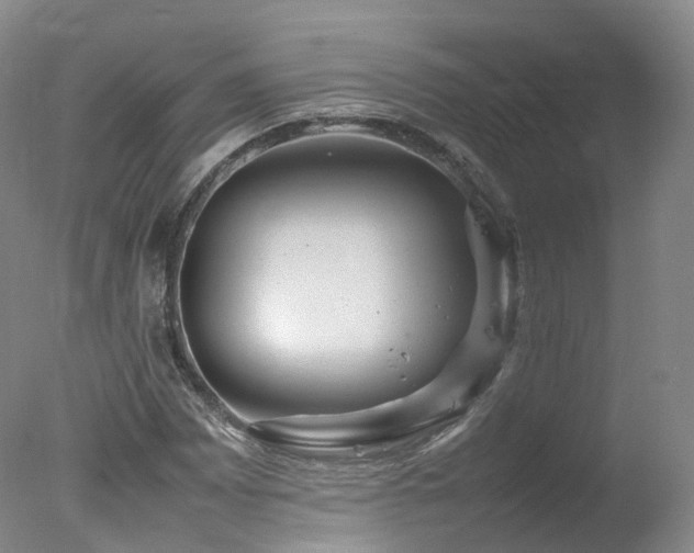 X0000078021065200610271228