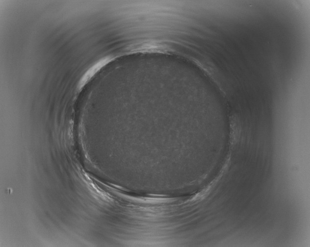 X0000078021066200610271228