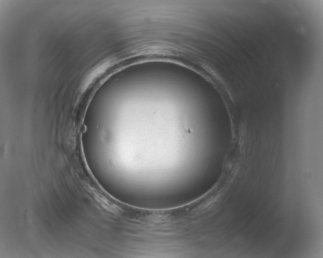 X0000078021067200610271228