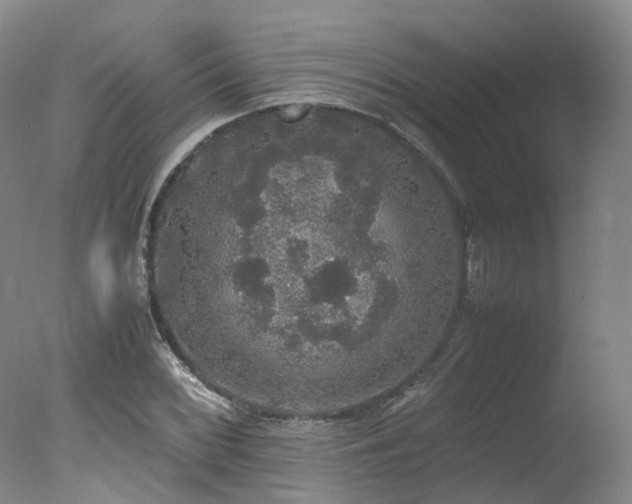 X0000078021068200610271228