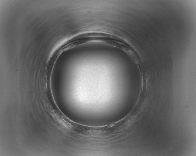 X0000078021069200610271228