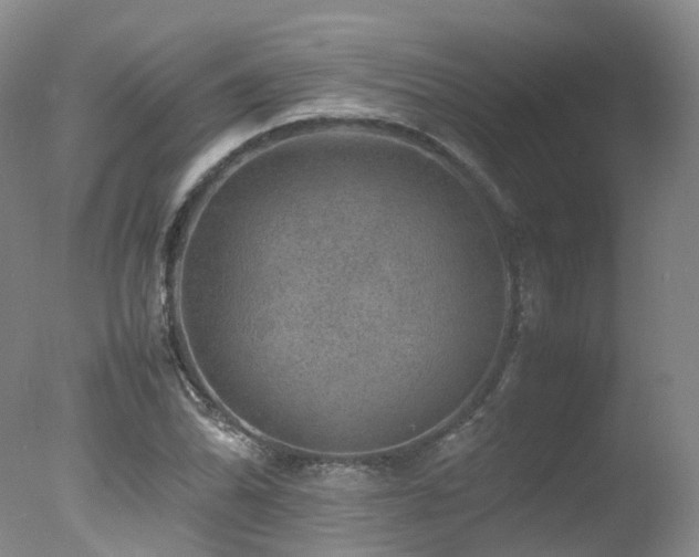 X0000078021070200610271228