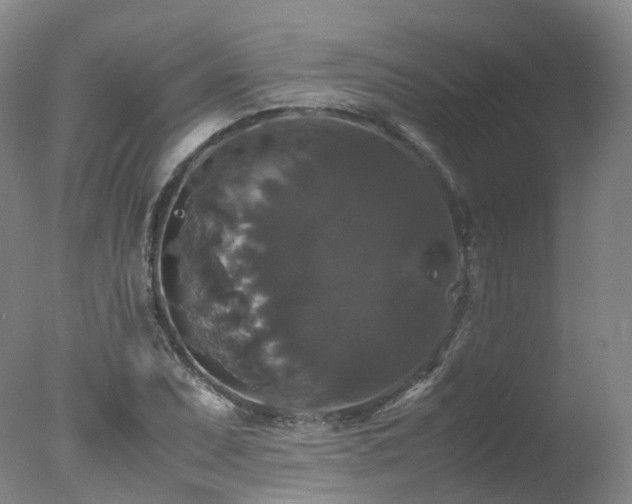 X0000078021071200610271228