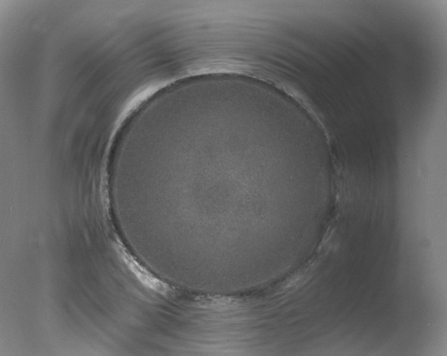 X0000078021072200610271228