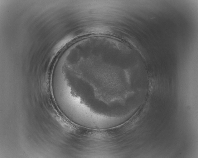 X0000078021074200610271228