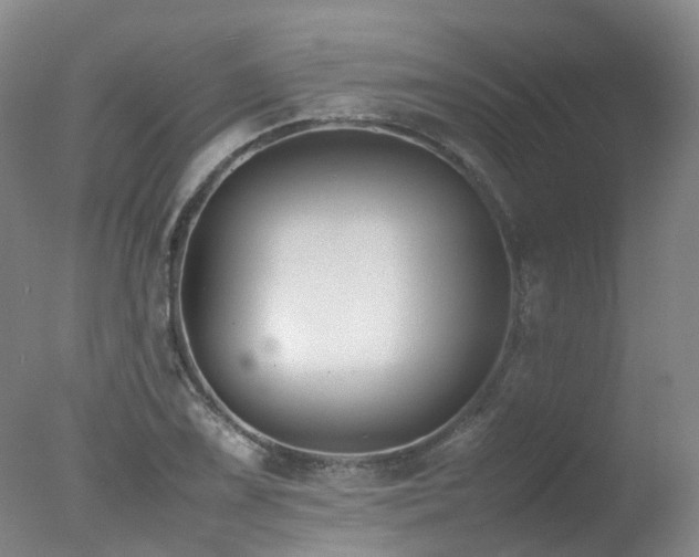 X0000078021075200610271228