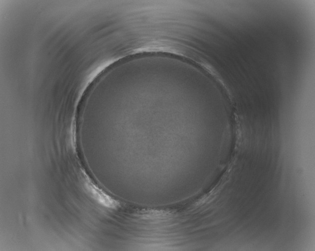 X0000078021076200610271228