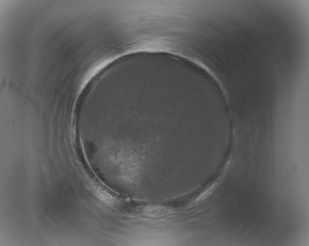 X0000078021077200610271228