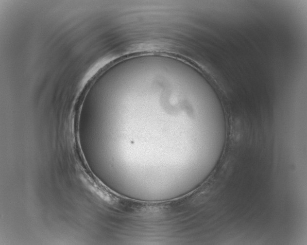 X0000078021078200610271228