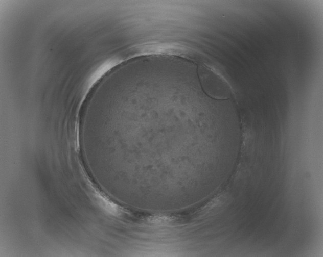 X0000078021079200610271228