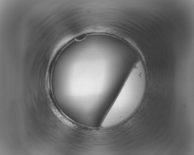 X0000078021080200610271228