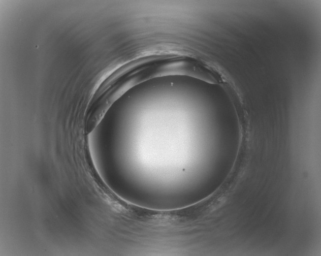 X0000078021081200610271228