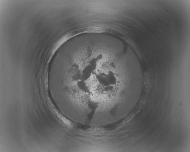 X0000078021083200610271228