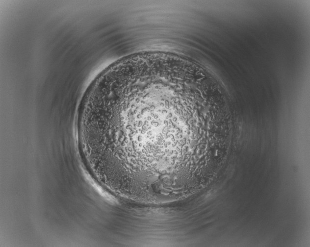 X0000078021084200610271227