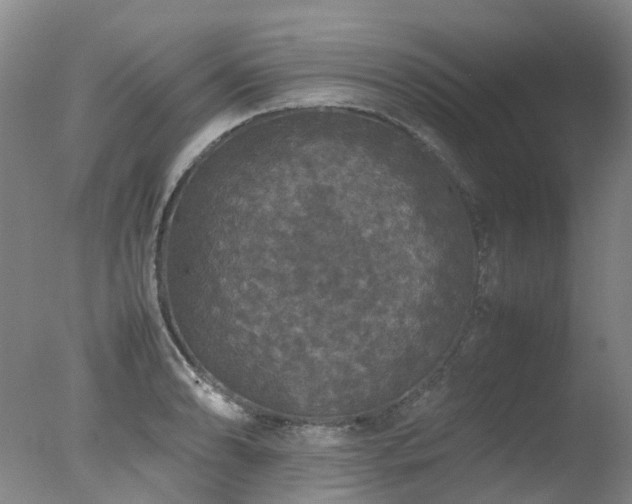 X0000078021086200610271227