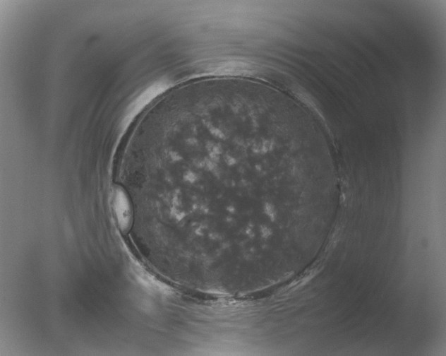 X0000078021087200610271227