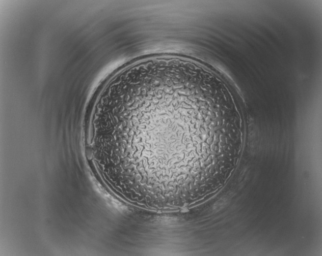 X0000078021088200610271227