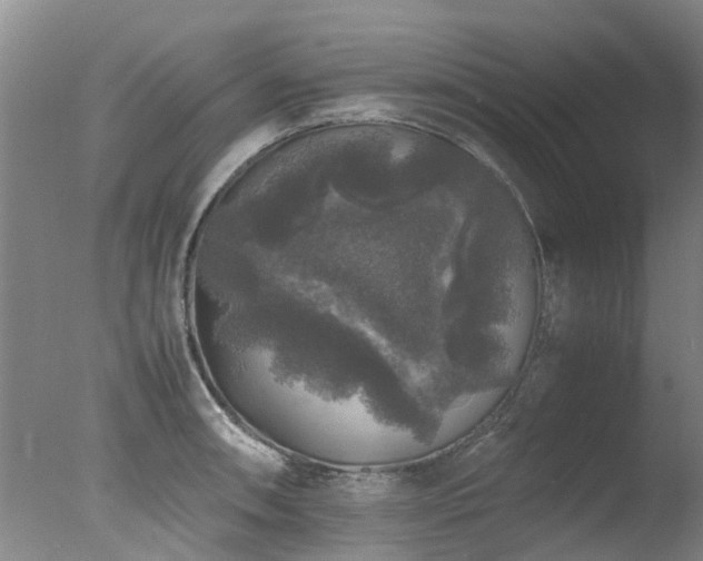 X0000078021090200610271227