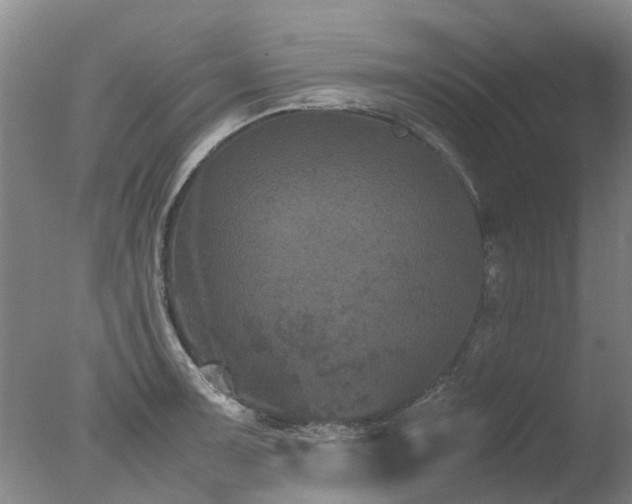 X0000078021091200610271227