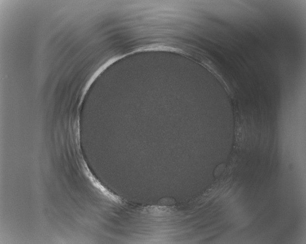 X0000078021092200610271227