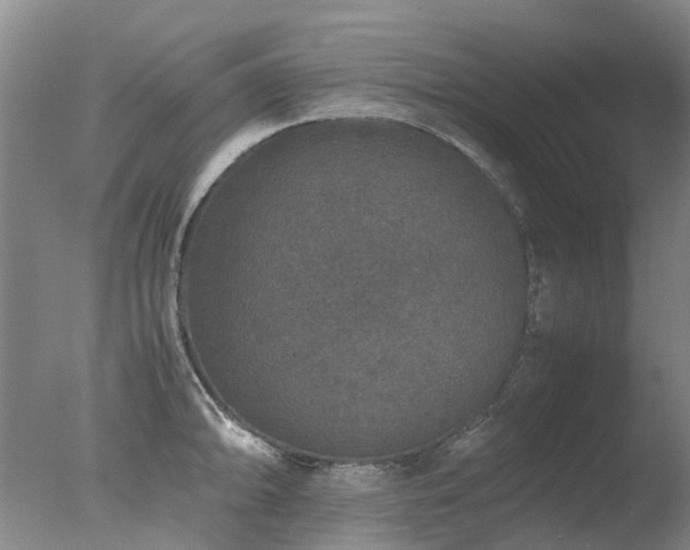 X0000078021094200610271227