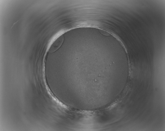 X0000078021096200610271227