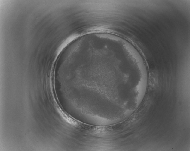 X0000078021098200610271227