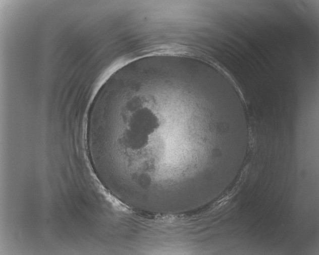 X0000078021099200610271227